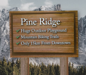 Pine Ridge Houses For Sale Whitehorse YK