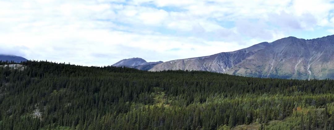 What to See & Do When You Own Summer Real Estate Whitehorse YT