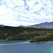 What to See & Do When You Own Summer Real Estate Whitehorse YT