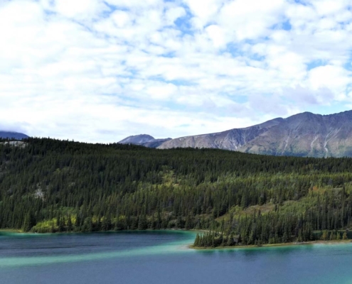 What to See & Do When You Own Summer Real Estate Whitehorse YT