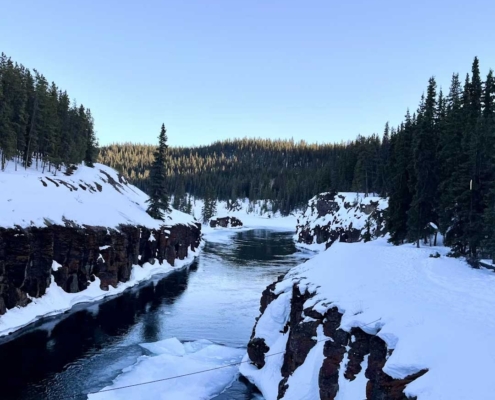 whitehorse market update and outlook 2026