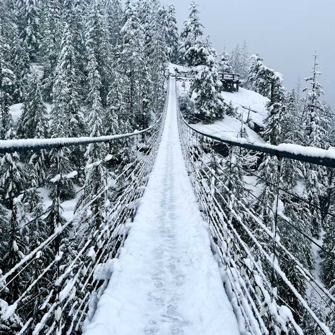 whitehorse real estate market trends 2026