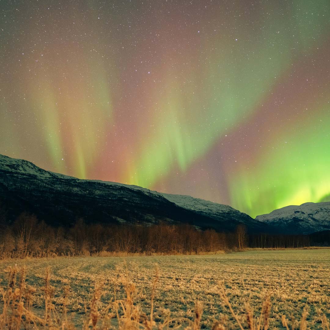 relocating to whitehorse