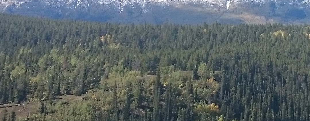 tips and advice for relocating to whitehorse yukon