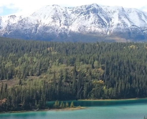 tips and advice for relocating to whitehorse yukon